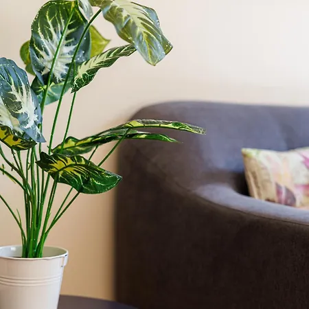 Rose 2 Duplex-clim-plage Appartement Menton